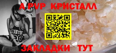 спайс Малгобек