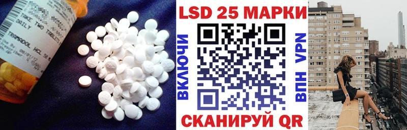 Купить закладки  Сургут  ЛСД экстази ecstasy 