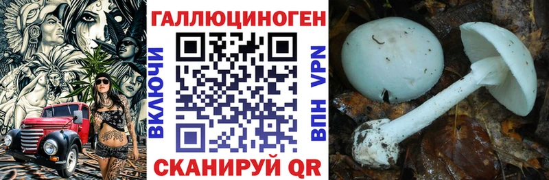 Купить  Сургут  Галлюциногенные грибы GOLDEN TEACHER 