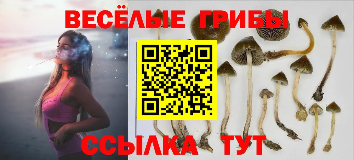 Галлюциногенные грибы ЛСД  Псилоцибиновые грибы Magic Shrooms  Сургут  Вход с VPN 