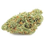 Шишки OG Kush  (Гидропоника, бошки) VHQ в Сургуте